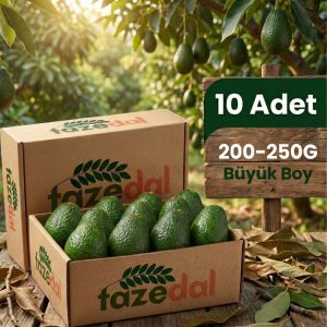 Tazedal Organik Avokado Büyük Boy - 10 Adet